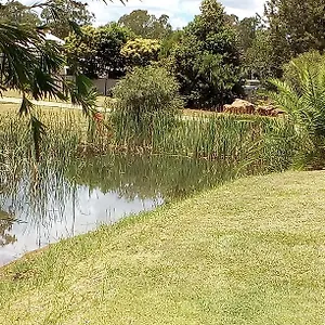  Farm stay Units And Australia